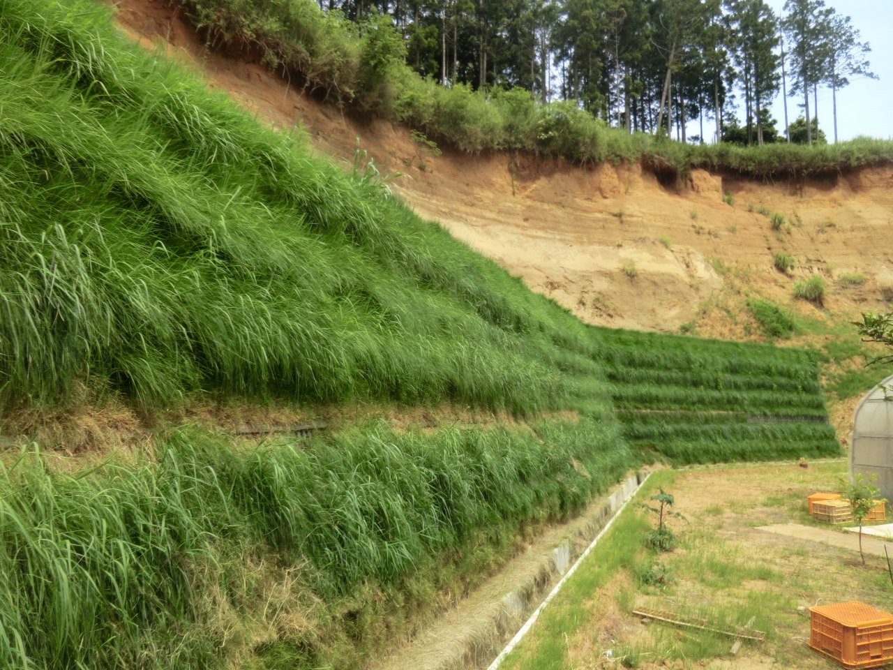 急傾斜地崩壊対策工事(村田)