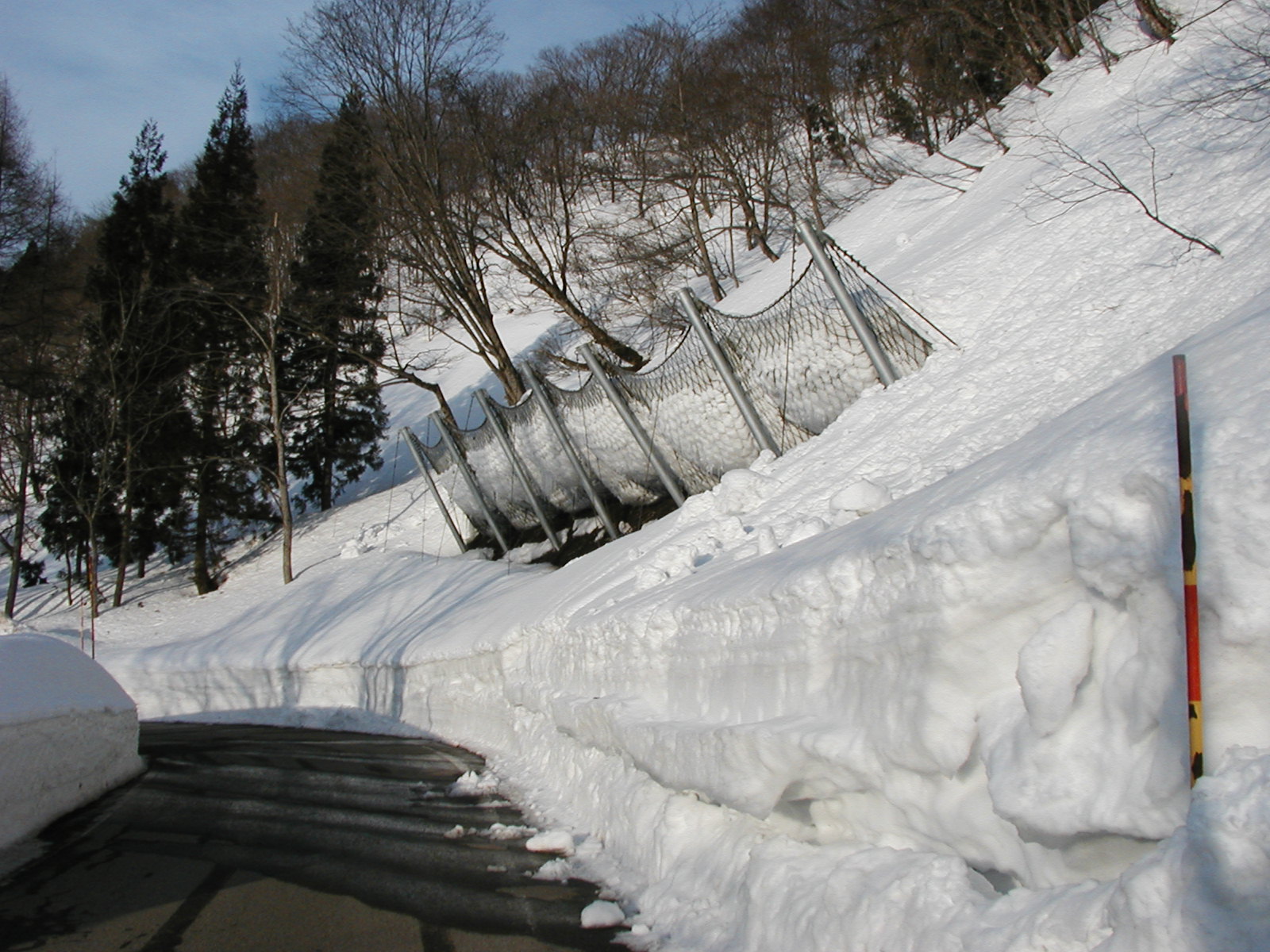緊急地方道(Bタイプ･雪寒)雪崩予防柵設置(スノーネット)工事雪崩予防策工事(D9工区)