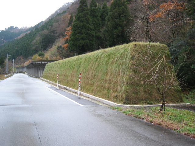 一般県道東猪谷富山線地方特定道路整備落石防護工工事