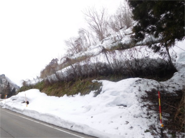 平成24年度(一)黒倉野中線地域自主戦略(雪寒)雪崩予防柵設置工事