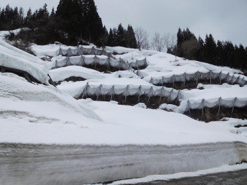 国道253号八箇地区雪崩予防柵設置その2工事