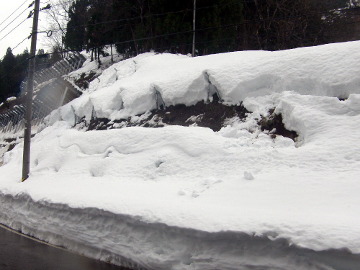 平成23年度小千谷大和線地域自主戦略(雪寒)雪崩予防柵設置工事
