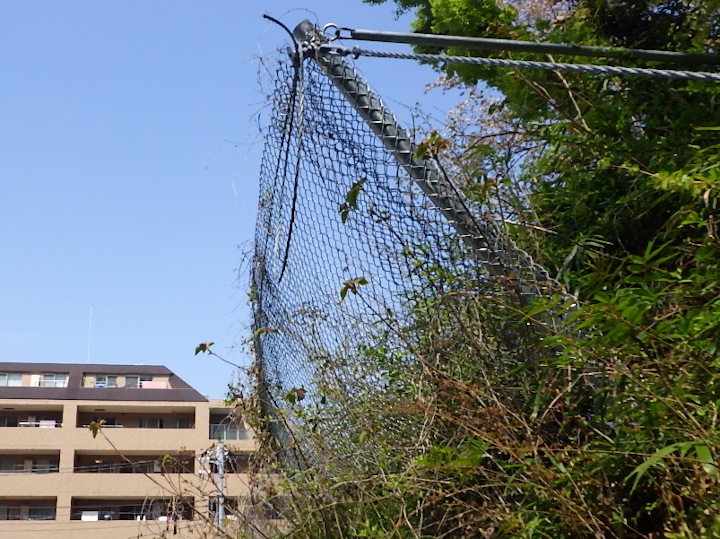 都市計画道路横浜逗子線(釜利谷六浦地区)事業用地落石防止網設置工事