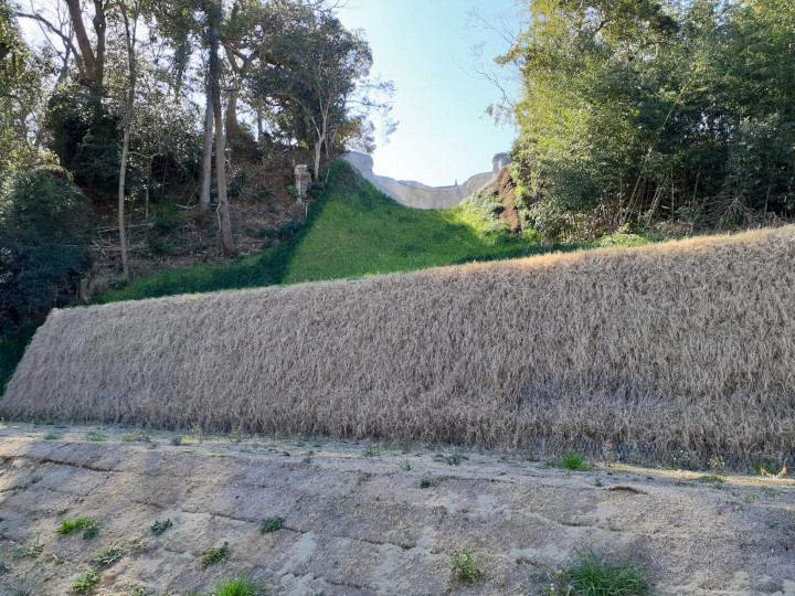 佐倉城址公園城内町法面対策工事