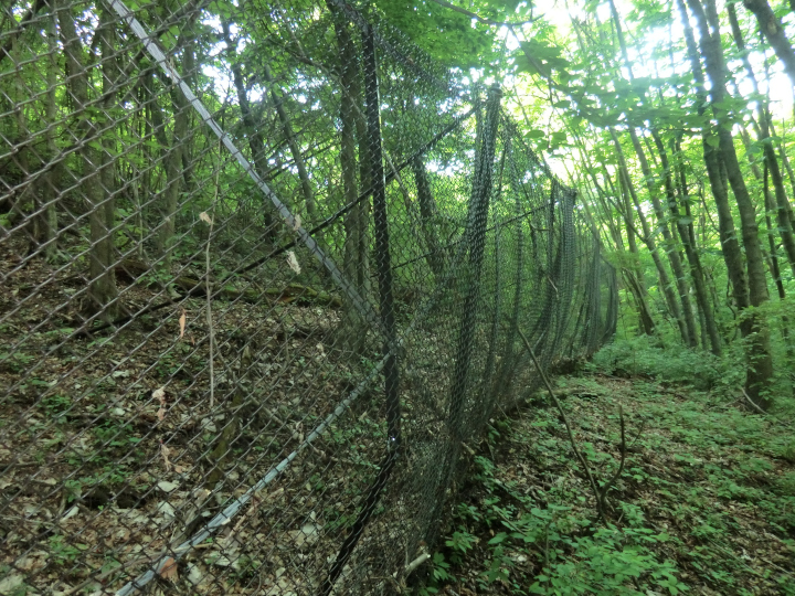 檜原都民の森落石防護柵設置工事