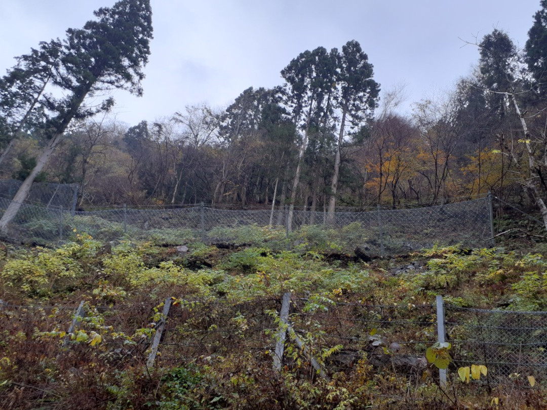 緊急予防治山事業緊急予防治山工事三ツ石(R1ゼロ国)