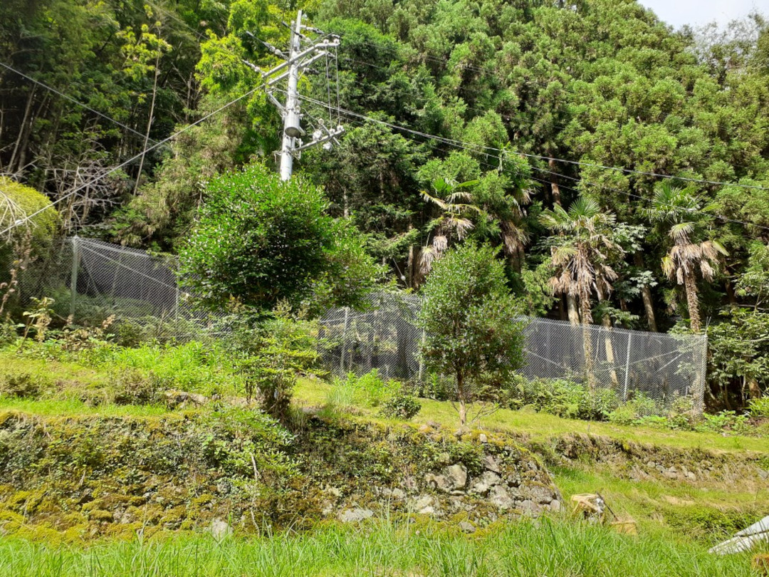 川股高野垣内地区斜面対策工事(単独自然災害防止事業(急傾斜)(南部･東部))