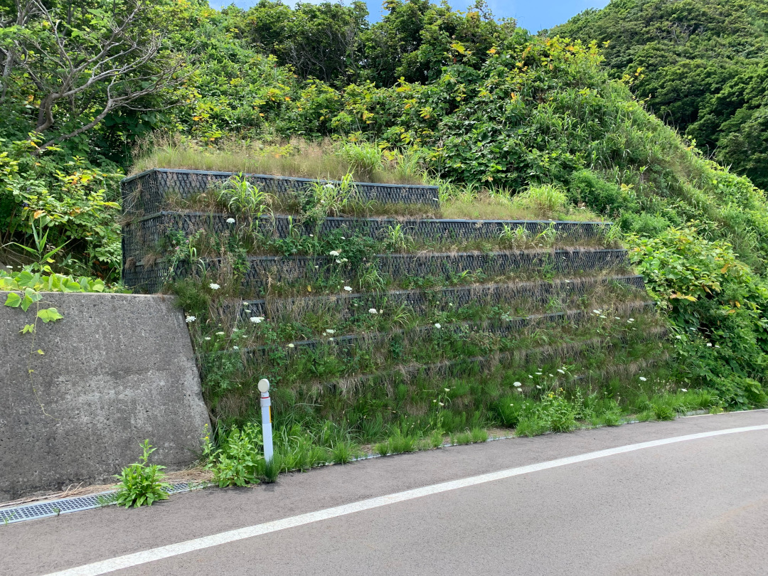 奥尻島線(B地-361)工事外