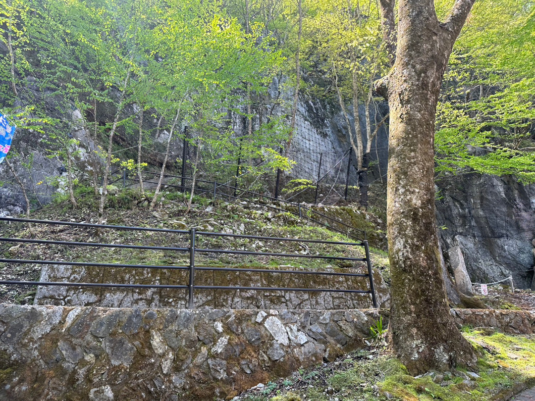 龍泉洞地区予防治山工事