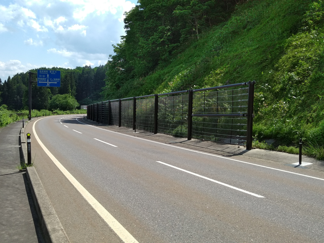 道路橋りょう維持(災防)工事(落石防護)