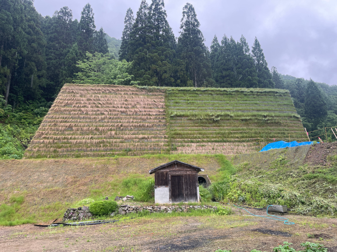 公共総合流域防災事業(雪崩対策事業) (R5国補正･翌債)桂上1防護壁工事