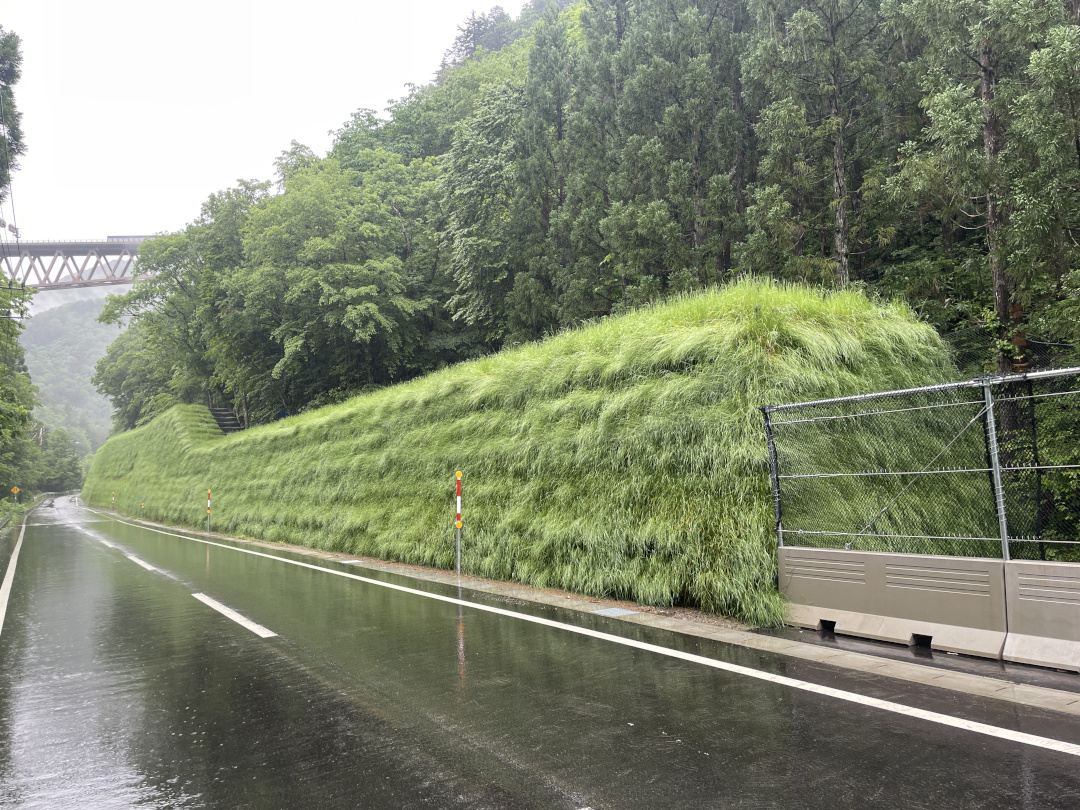 第工交公防推3号公共防災･減災対策強化等事業推進費(災害対策事業)江黒3工区落石対策工事