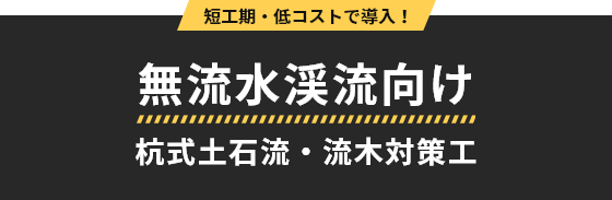 無流水渓流向け 杭式土石流・流木対策工