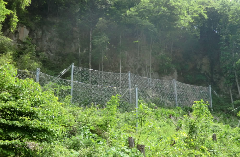 落石エネルギー4430kJの現場でも採用されています。