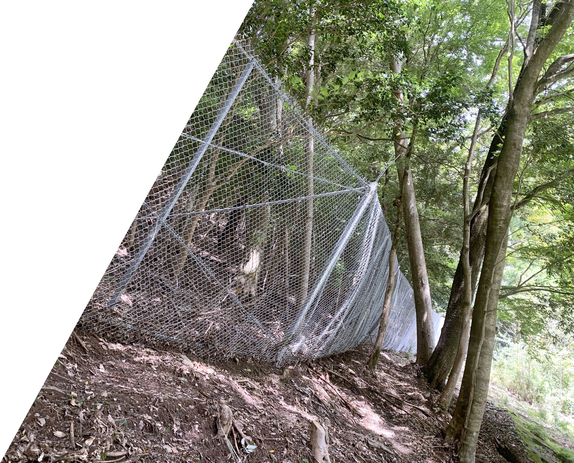 トップイメージ1