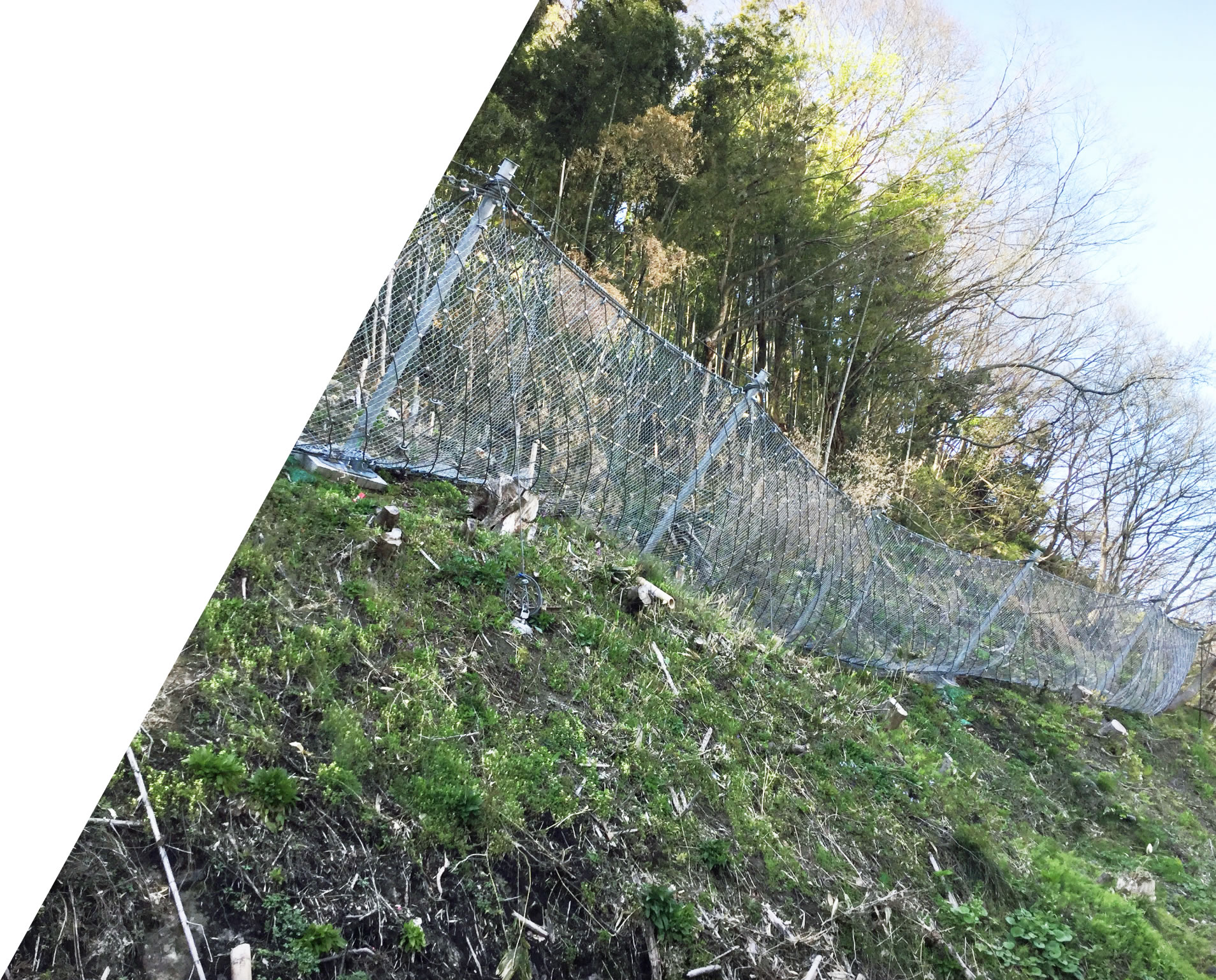 トップイメージ3